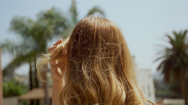 Sunlight – CINECOLOR